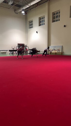 Acrobatic Stunts Showcased by Young Athletes