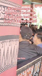 2.8K views | Menerima tamu adalah rangkaian dlm upacara adat rambu solo' 홎홪홠홪 황홤홧홖홟홖 #iklaninstream #fyp #torajaculture #rambusolo #bobonglangimantong | Pong Delon | Facebook
