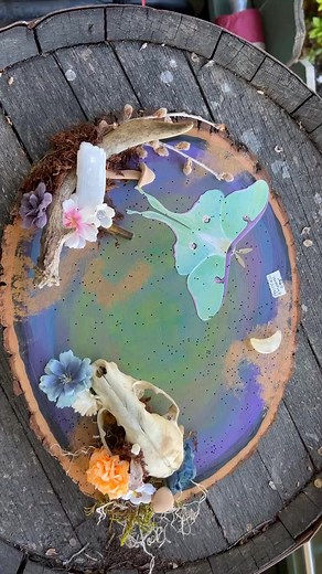 Lunar Moth Fix Art Plaque, wall ready, this beautiful piece is a lovely addition to any home, accented with selenite, tigers eye, citrine, quartz and calcite. This piece is available for purchase for $95 with local pickup/delivery in the York/Harrisburg area. | Esoteric Empath, Metaphysical Shop