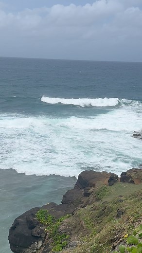 #Gris Gris #mauritius #savanne | Jayshree Rai