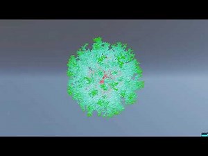 Diffusion Limited Aggregation