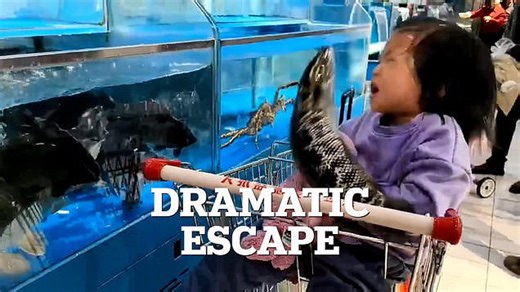 Moment a young girl is slapped in the face by a fish at market in China