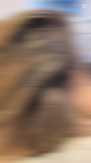 ✨Nuovo look, nuova luce ✨ Un mix perfetto di biondo freddo e riflessi perlacei per un effetto super luminoso e naturale 💎 Il segreto? Un tocco di tonalità ghiaccio che rende ogni ciocca unica 💁‍♀️❄️ Pronta a brillare anche tu? ✨ 💇🏼‍♀️ Fresh color , fresh energy 💫 📍Via Marco Polo 27 Seregno ☎️0362/686333. . . . #naifseregno #seregno #brianzabeauty #brianza #monzabrianza #monza #milano #milanohairstylist #milanohair #hairstylemilano #parrucchieriseregno #parrucchierabrianza #saloneparrucchie