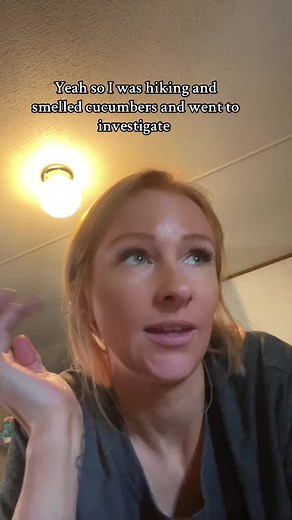 Copperhead Snakes Encounter on a Tennessee Hike