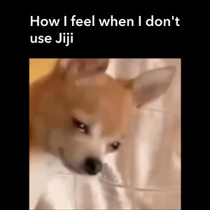 Have you been shopping through Jiji or we should mind our business? 😭 | Jiji Ethiopia