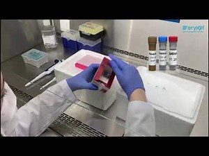 Eryigit Senteligo Sars-Cov-2(Covid-19) Multiplex qPCR Detection Kit