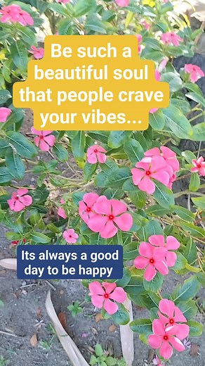 #goodvibes #positivity #choosehappiness #chooselife #trendingaudio #contentcreation #fbreelsfypシ゚viral | Rita Oplimo