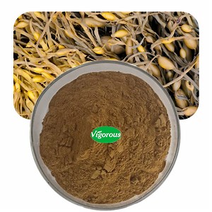 [Hot Item] Plant Extract Water Soluble Food Grade Ascophyllum Nodosum Extract