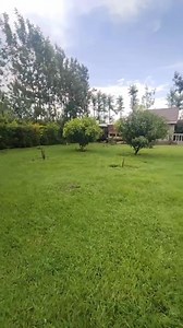 Went home to burry our London bridge who fell down late last month. Home sweet home | Annet Masinde