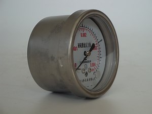 [Hot Item] 60mm Stainless Steel Case and Stainless Steel Connection Bellows Pressure Gauge Back Type