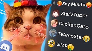 70K views · 5.2K reactions | HACIÉNDOME pasar por MINITA en DISCORD | Capitán Gato ft. @Star VTuber | Capitan Gato | Facebook