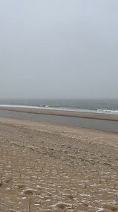 Beautiful Bethany 🥶❄️ | Turtle Beach Cafe