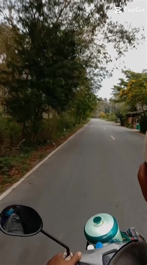 ดาวฮาริส บน TikTok