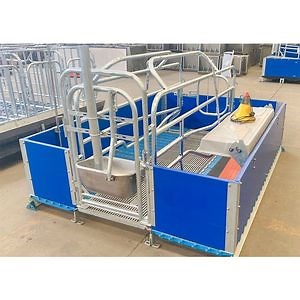 [Hot Item] Pig Farming Equipment Farrowing Crate Pig Flooring Double Farrowing Pen for Pigs