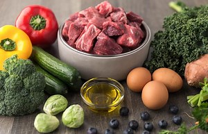 Homemade Raw Dog Food Recipes With Grain-Free Ingredients | LoveToKnow Pets