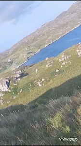 As promised! The video of the sheep gather 🥰 | The Weaving Shed