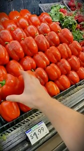 Now I'm saving bell pepper seeds and getting a mini bush at home by spring. | Duke Garden Tips