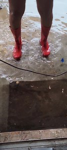 Tpot & Speedy are home in Kenner. Currently the back yard is flooding and pool is over flowing. Be safe yall. | B97