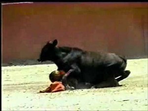 Woman Midget Bullfighter