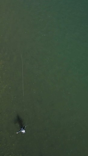 @michaelparente takes us to class in Trout Spey 101. Check out the full video on our YouTube channel or find it on our Fresh Tracks Platform. | Randy Newberg, Hunter