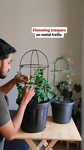 166K views · 65 reactions | Summers are here and have added a few...