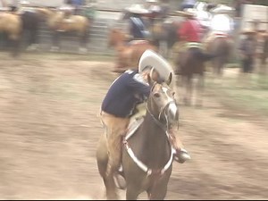 442K views · 9.4K reactions | Las 鸞 fiestas mexicanas  más alegres defintivamente son los Coleaderos  | Telepaisa | Facebook