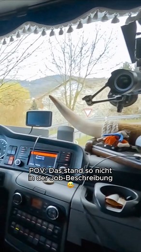 Wenn die Truckerin auf einmal Kälber einfangen darf...😅 📺 Neue Folgen „Trucker Babes – 400 PS in Frauenhand“ – Sonntag, um 20:15 Uhr bei Kabel Eins oder streamen auf #Joyn. #TruckerBabes | Kabel Eins