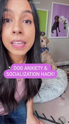 Love this tip from Rachel Fusaro follow her for more! As a veterinarian, I cannot stress enough how important it is to handle your pet and get them used to being touched everywhere, including their ears, mouth, paws, tail. Your pet should receive a thorough veterinary exam at least twice a year, every year. Daily handling makes vet visits safer and less stressful, but it is also important to be able to touch these areas of the body as the pet parent. Ear cleaning, brushing teeth, trimming nails,