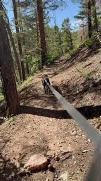 Hikings to Labyrinth at Chamisa Trail through Winsor Trail
