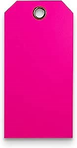 Tags 4 Less 15 Mil Waterproof Plastic Tags, Pack of 100 – 4” x 8” Heavy Duty Plastic Tags for Labeling, Outdoor Tagging, Equipment Labeling, Luggage, Valves & More (Fluorescent Pink)