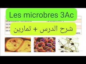 Les Microbes 3ème année collège 🔺 micro-organismes 🔺 Cours complet : partie 1 #3ac