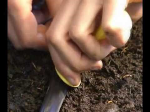 Punch A Hole Into Drip Irrigation Tubing