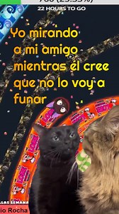 🤣😎😇😈😄 | Lore Gamer 593