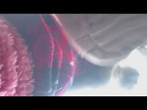 Hot girl trample Pov