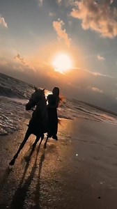 3.2K views · 86 reactions | Já faz muito tempo que você se foi, ainda lembro tudo que vivemos juntos. Seus carinhos e seus beijos foram muitos. Eu busco memórias que eu perdi, nada nesse mundo hoje me faz sorrir, onde está você, eu grito mais além, chamo por você, mas você não vem. (Pode voltar no meio dessa noite) (Canção composição e letra Weslley Basilio) @destacar | Nilo Sérgio Resende | Facebook