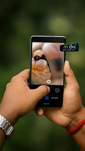 How to Shoot Compound Eyes of Dragonfly 😍 #macro #photography #tipsandtricks