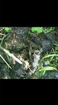 I Love Being Up In The High Country