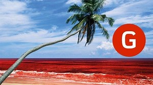 Sri Lanka's Killing Fields - Alchetron, the free social encyclopedia