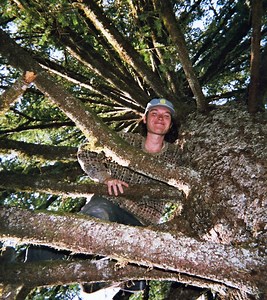 Photos from Life Off the Grid in a Sustainable Commune