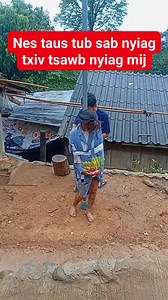 Xav tias yuav muaj tis | Nkauj Hmoob Ntxim Lhub