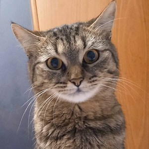 Windows 7 beta build 6469