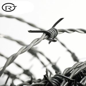 [Hot Item] Galvanized and PVC Coated Barbed Wire Security Barbed Wire with 2 Stranded Wire Hot Sale
