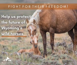 2.5K views · 83 reactions | ‼ We need your support in our fight for...