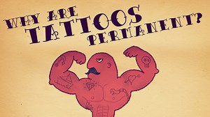 A TED-Ed Animation Explaining Why Tattoos Are Permanent
