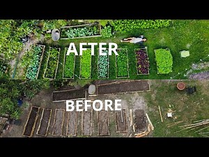 #40 Abandoned Garden Makeover After Years – A Jaw-Dropping Transformation