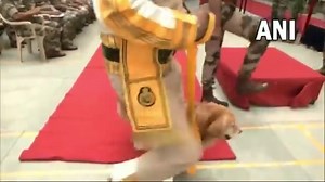 This is why every #dog wants to be a ‘good boy’. Three sniffer dogs working with #CISF recently retired. To appreciate their years of service, the dogs were given a grand farewell by CISF personnel! | HT City