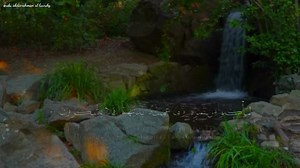 24K views · 1.7K reactions | Bacaan Merdu Surah Yasin | Tadabbur Murottal Alquran | Facebook