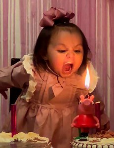 20K views · 462 reactions | It almost looks like she wants to eat it! | WTVideo | Facebook