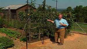 An outdoor setting is tailor made for delighting the senses so when choosing accessories for your garden room go for items that will heighten the experience. To learm more CLICK HERE: https://youtu.be/4j4pCCXhad8 | P. Allen Smith