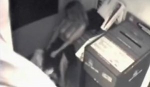 office lesbians caught on security camera